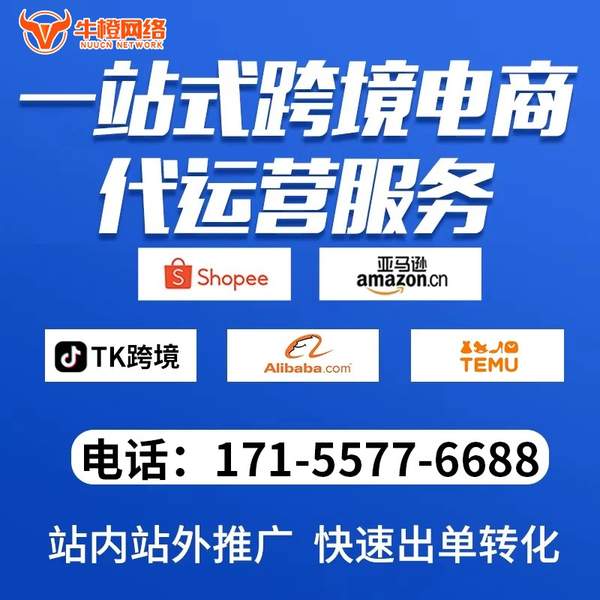 南通电商代运营